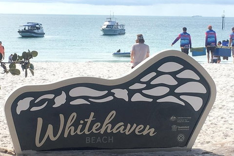 Whitehaven Beach And Hill Inlet | Awesome Beach BBQ | Family Friendly - Newcastle Accommodation 5