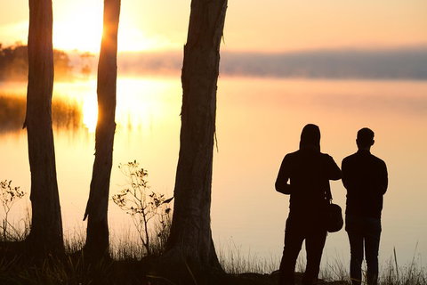 Serenity Cruise To Australia's Everglades - New Castle Tourism 5