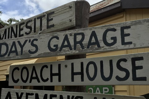 Private Tour To Paronella Park, Historic Village Herberton And Wild Life Wallaby - Newcastle Accommodation 1