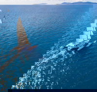 2-Night Whitsunday Islands Sailing Adventure on Trimaran Avatar - Newcastle Accommodation