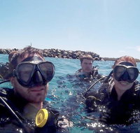Wave Break Island Scuba Diving on the Gold Coast - Newcastle Accommodation