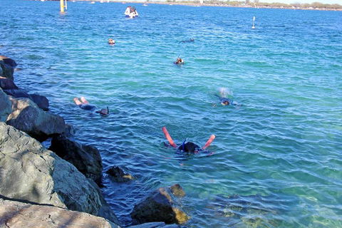 Wave Break Island Scuba Diving On The Gold Coast - New Castle Tourism 1