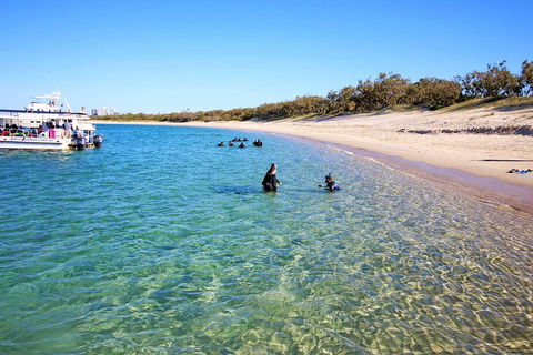 Wave Break Island Scuba Diving On The Gold Coast - New Castle Tourism 4
