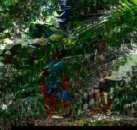 Full Day Daintree Rainforest and Mossman Gorge Tour - Newcastle Accommodation