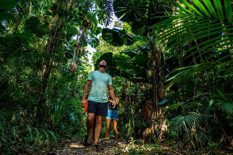 Full Day Daintree Rainforest And Mossman Gorge Tour - New Castle Tourism 0