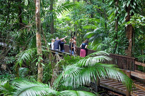 Full Day Daintree Rainforest And Mossman Gorge Tour - New Castle Tourism 1