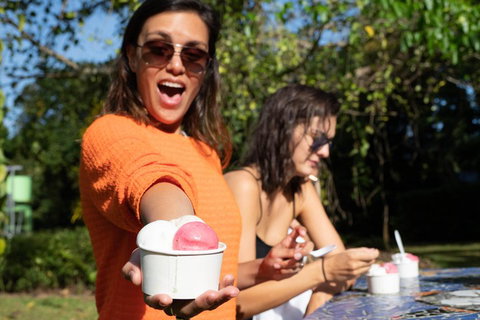 Full Day Daintree Rainforest And Mossman Gorge Tour - New Castle Tourism 3