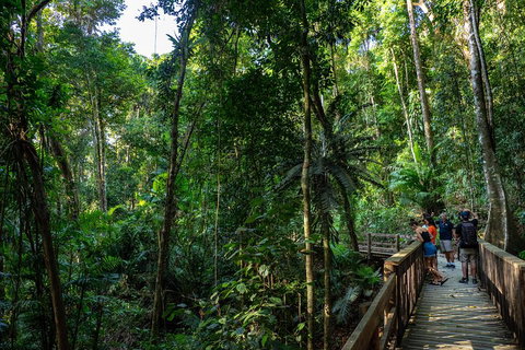 Full Day Daintree Rainforest And Mossman Gorge Tour - New Castle Tourism 5