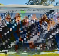 Full Day Mount Tamborine Winery Tour from Gold Coast