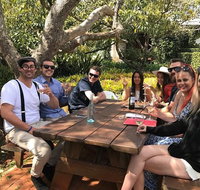 Private Full Day Wine Tour from the Gold Coast to Tamborine Mountain
