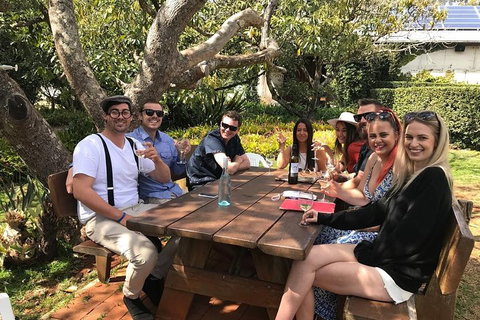 Private Full Day Wine Tour From The Gold Coast To Tamborine Mountain - Newcastle Accommodation 0