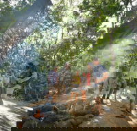 Mossman Gorge Adventure Day - Newcastle Accommodation