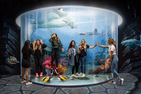 ArtVo Immersive Gallery Experience - Newcastle Accommodation 2