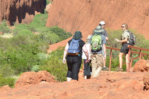 Afternoon Kata Tjuta Small Group Tour - Newcastle Accommodation 0