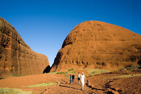 Afternoon Kata Tjuta Small Group Tour - Newcastle Accommodation 1