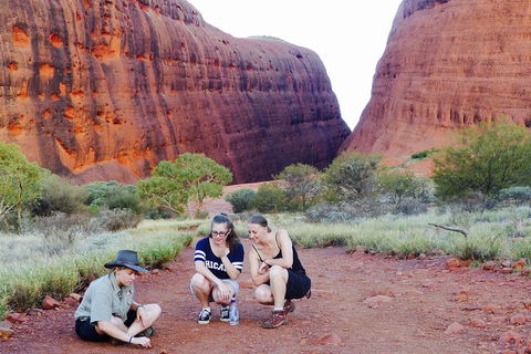 Afternoon Kata Tjuta Small Group Tour - Newcastle Accommodation 2