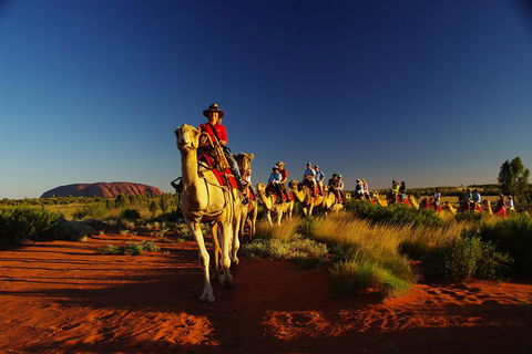 Uluru Small-Group Tour By Camel At Sunrise Or Sunset - Newcastle Accommodation 1