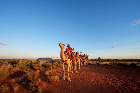 Uluru Small-Group Tour By Camel At Sunrise Or Sunset - Newcastle Accommodation 3