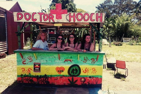 Byron Surrounds: Nimbin Waterfall Adventure - Swimming Tour - Newcastle Accommodation 5