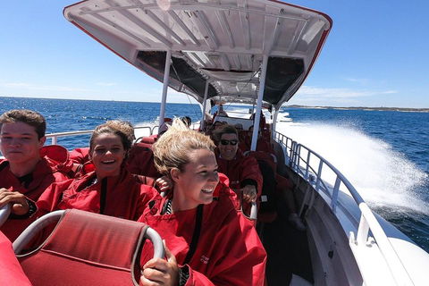 Adventure Rottnest Tour With Ferry & Adventure Cruise From Perth Or Fremantle - Newcastle Accommodation 0