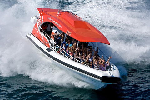 Adventure Rottnest Tour With Ferry & Adventure Cruise From Perth Or Fremantle - Newcastle Accommodation 2