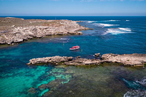 Adventure Rottnest Tour With Ferry & Adventure Cruise From Perth Or Fremantle - Newcastle Accommodation 3