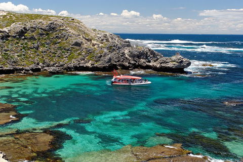 Adventure Rottnest Tour With Ferry & Adventure Cruise From Perth Or Fremantle - Newcastle Accommodation 5