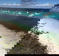 Experience Rottnest with Ferry  Bike Hire from Perth or Fremantle - Newcastle Accommodation