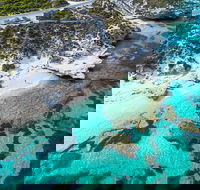 Rottnest Island Round-Trip Ferry from Perth or Fremantle - Newcastle Accommodation
