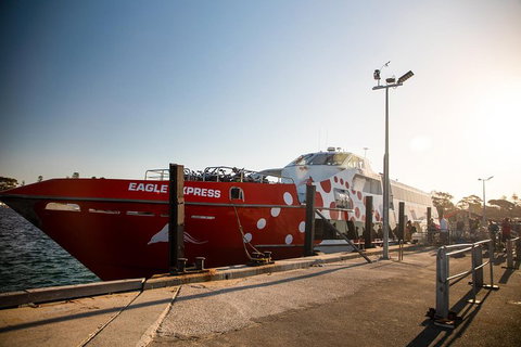 Rottnest Island Round-Trip Ferry From Perth Or Fremantle - Newcastle Accommodation 2