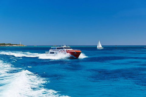 Rottnest Island Round-Trip Ferry From Perth Or Fremantle - Newcastle Accommodation 4
