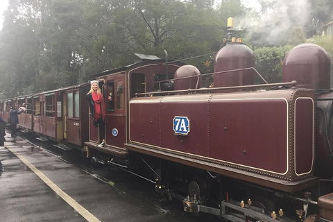 Puffing Billy, Moonlit Sanctuary & Penguins Day Tour - Newcastle Accommodation 4