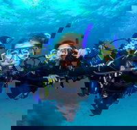 Great Barrier Reef Diving and Snorkeling Cruise from Cairns - New Castle Tourism