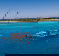 Ocean Free Green Island  Great Barrier Reef Snorkel Cruise Cairns 25 guests - New Castle Tourism
