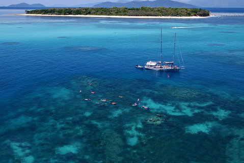 Ocean Free Green Island & Great Barrier Reef Snorkel Cruise, Cairns 25 Guests - Newcastle Accommodation 2