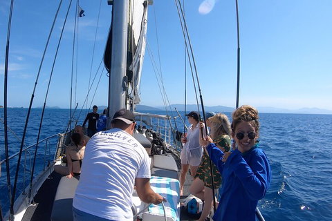 Ocean Free Green Island & Great Barrier Reef Snorkel Cruise, Cairns 25 Guests - Newcastle Accommodation 3