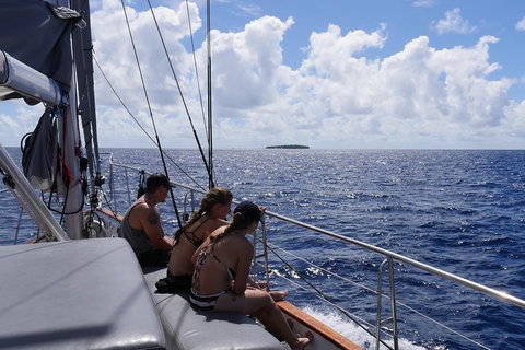 Ocean Free Green Island & Great Barrier Reef Snorkel Cruise, Cairns 25 Guests - Newcastle Accommodation 4