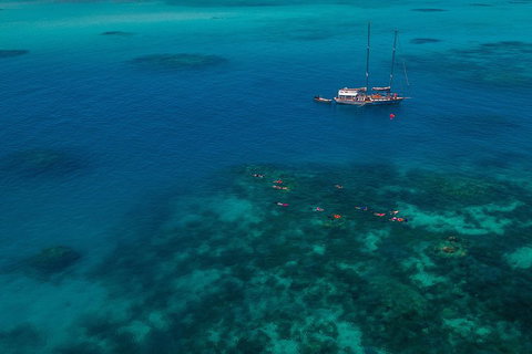 Ocean Free Green Island & Great Barrier Reef Snorkel Cruise, Cairns 25 Guests - Newcastle Accommodation 5