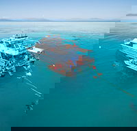 Ocean Freedom Great Barrier Reef Personal Luxury Snorkel  Dive Cruise Cairns - New Castle Tourism