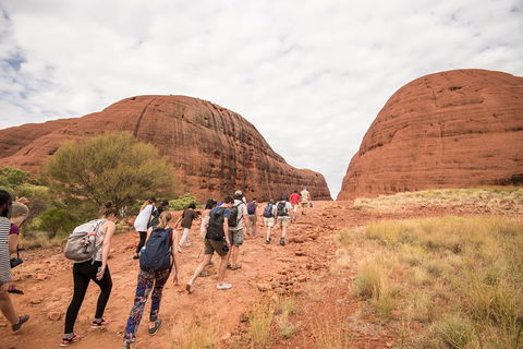 6 Day Red Centre Explorer With Accommodation - Newcastle Accommodation 3