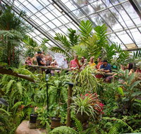 Australian Butterfly Sanctuary