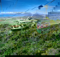 Best of Kuranda Including Skyrail Kuranda Scenic Railway and Rainforestation - New Castle Tourism
