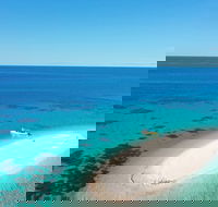 Ocean Safari Great Barrier Reef Experience in Cape Tribulation - Newcastle Accommodation