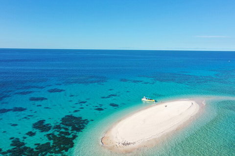 Ocean Safari Great Barrier Reef Experience In Cape Tribulation - Newcastle Accommodation 0