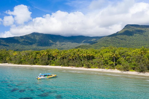 Ocean Safari Great Barrier Reef Experience In Cape Tribulation - Newcastle Accommodation 2