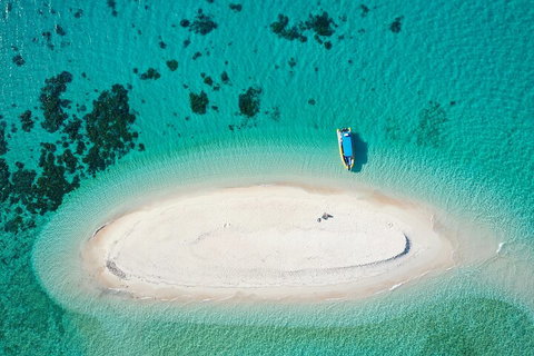 Ocean Safari Great Barrier Reef Experience In Cape Tribulation - Newcastle Accommodation 3