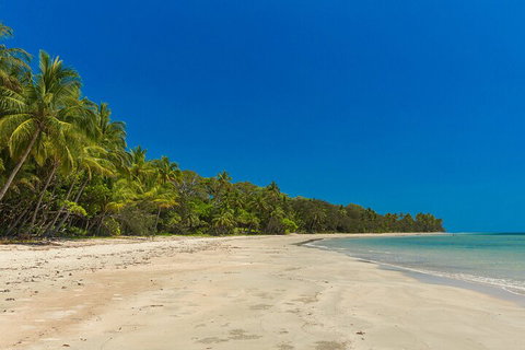 Ocean Safari Great Barrier Reef Experience In Cape Tribulation - Newcastle Accommodation 4