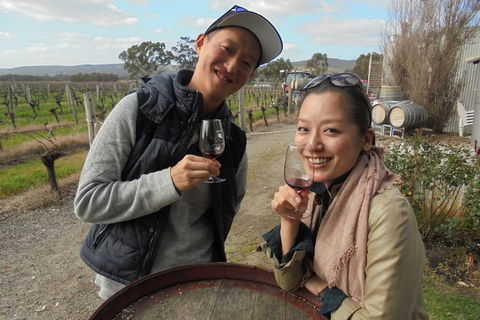 Swan Valley River Cruise And Wine Tasting Day Trip From Perth - Newcastle Accommodation 0