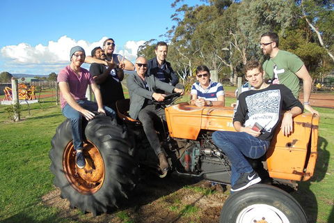 1/2 Day Swan Valley Wine Cheese & Chocolate Tour Inc Afternoon Cruise To Perth - Newcastle Accommodation 1