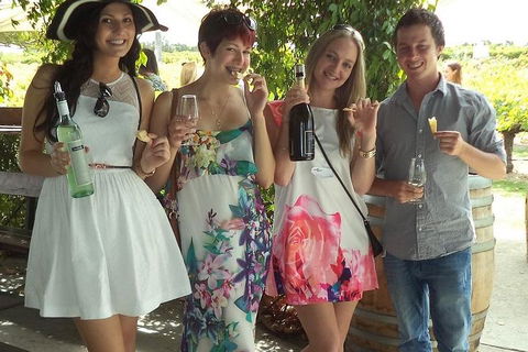 1/2 Day Swan Valley Wine Cheese & Chocolate Tour Inc Afternoon Cruise To Perth - Newcastle Accommodation 4